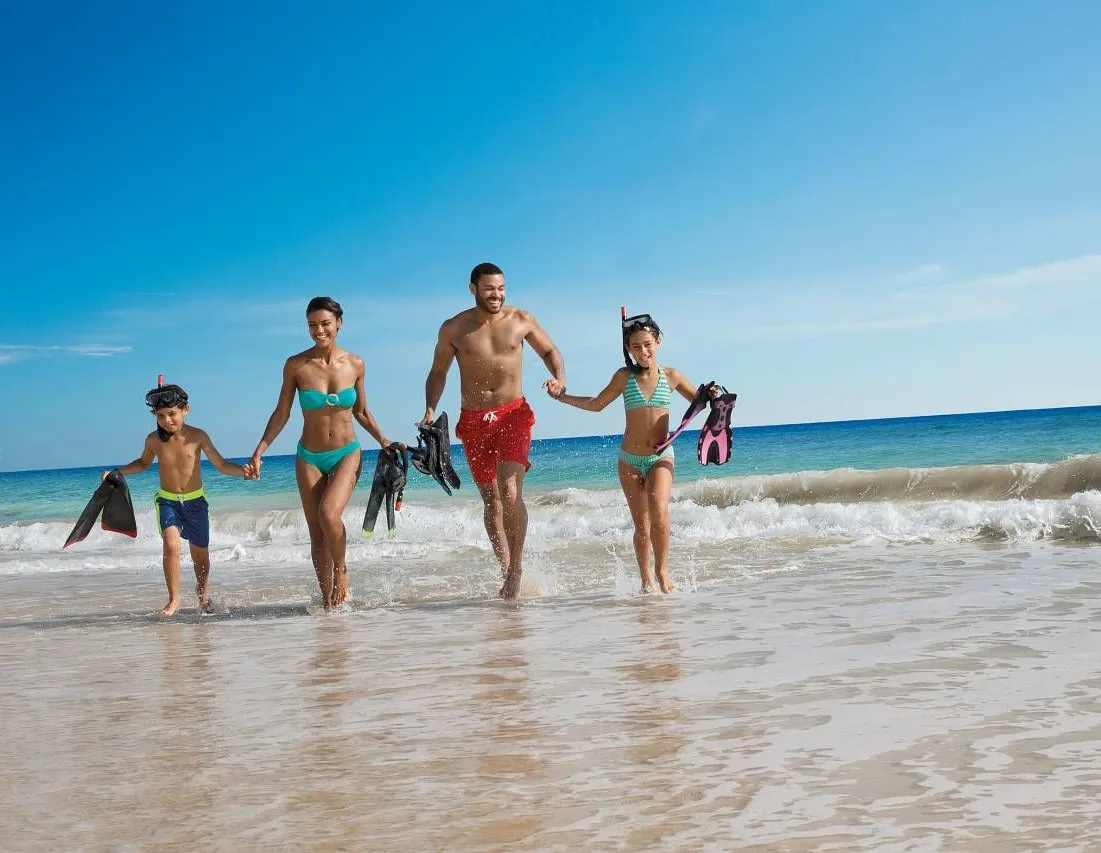Marinarium Marine Park Snorkel with Sharks & Stingrays Excursion